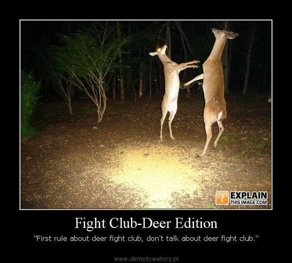 Fight Club-Deer Edition