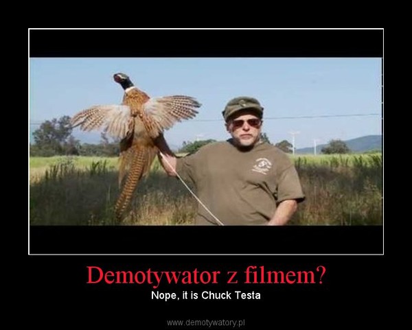 Demotywator z filmem? – Nope, it is Chuck Testa 
