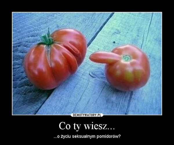 Co ty wiesz... – ...o życiu seksualnym pomidorów? 