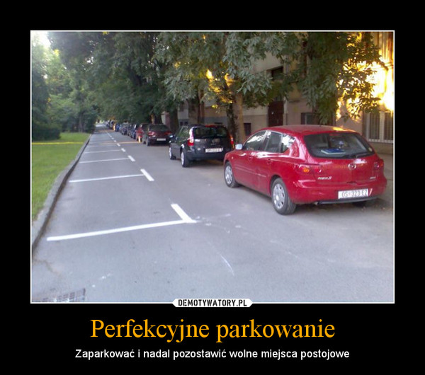 Perfekcyjne parkowanie