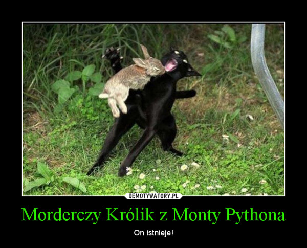 Morderczy Królik z Monty Pythona