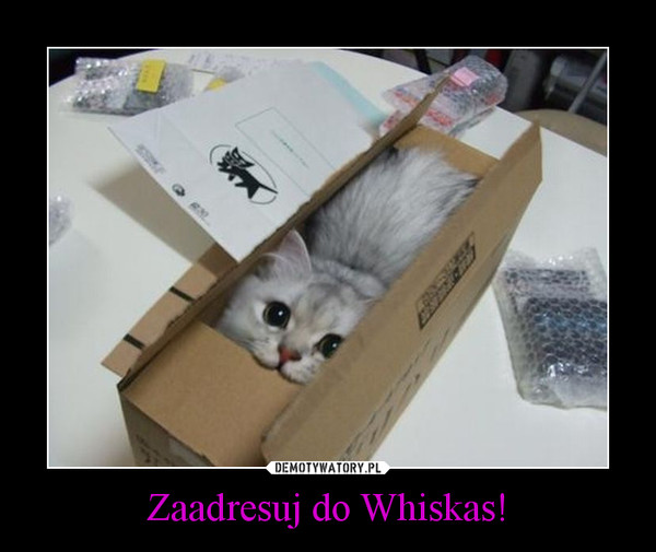Zaadresuj do Whiskas!