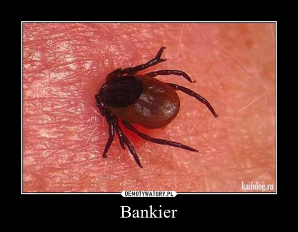 Bankier –  
