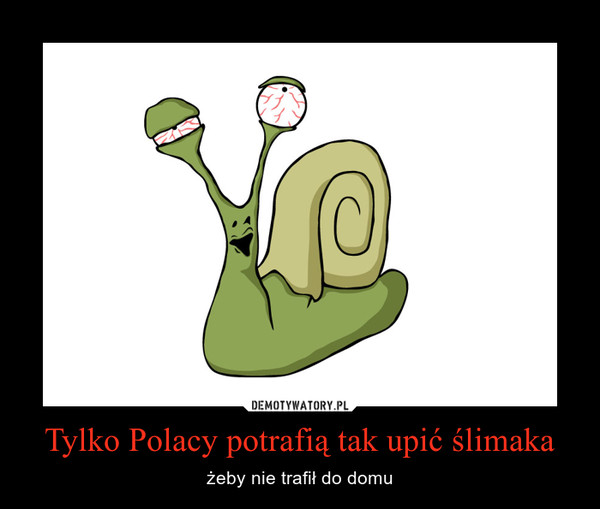 Tylko Polacy potrafią tak upić ślimaka – żeby nie trafił do domu 