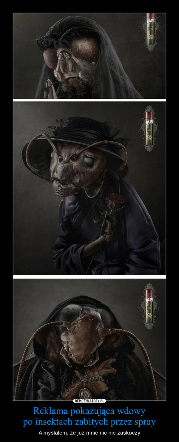 Reklama pokazująca wdowy
po insektach zabitych przez spray