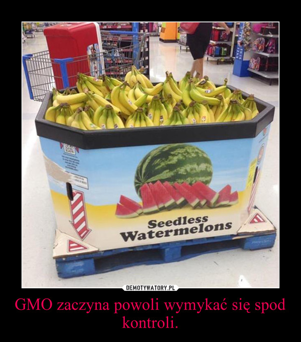 GMO zaczyna powoli wymykać się spod kontroli. –  