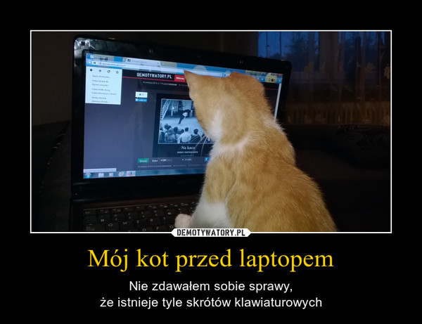 Mój kot przed laptopem – Nie zdawałem sobie sprawy,że istnieje tyle skrótów klawiaturowych 