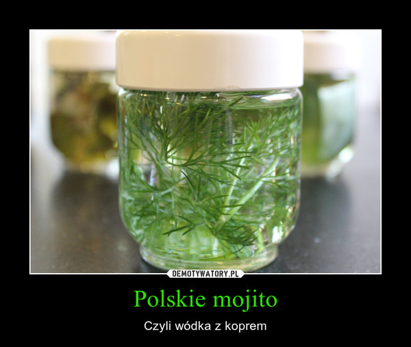 Polskie mojito – Czyli wódka z koprem 