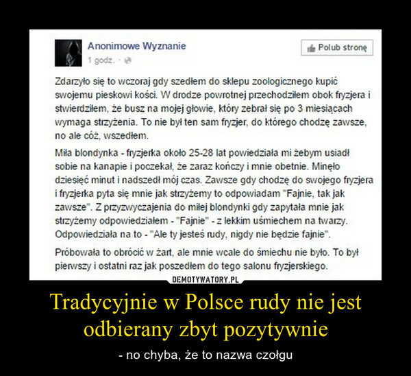 Tradycyjnie w Polsce rudy nie jest odbierany zbyt pozytywnie – - no chyba, że to nazwa czołgu 