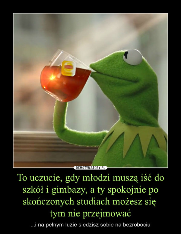 To uczucie, gdy młodzi muszą iść do szkół i gimbazy, a ty spokojnie po skończonych studiach możesz się tym nie przejmować – ...i na pełnym luzie siedzisz sobie na bezrobociu 