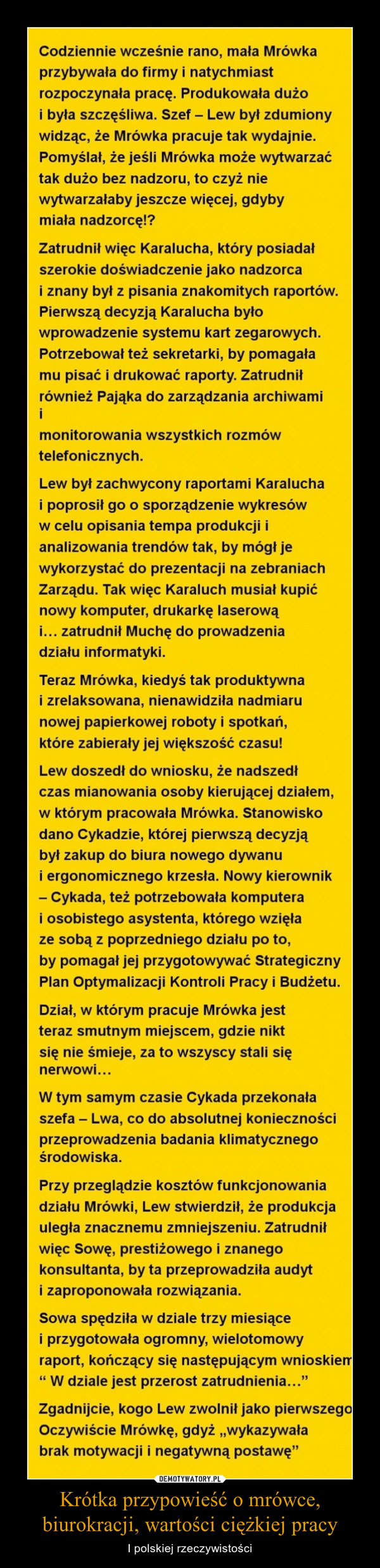 Krótka przypowieść o mrówce, biurokracji, wartości ciężkiej pracy – I polskiej rzeczywistości 