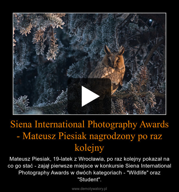 Siena International Photography Awards - Mateusz Piesiak nagrodzony po raz kolejny