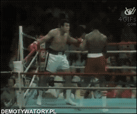Nienawidziłem każdej minuty treningu, ale powtarzałem sobie: nie poddawaj się, przecierp teraz i żyj resztę życia jako mistrz – Muhammad Ali 