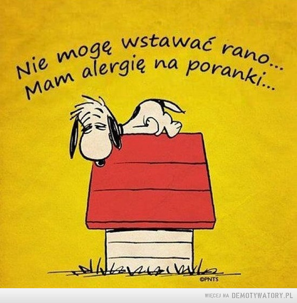 Kto z was ma jeszcze taką alergię? –  