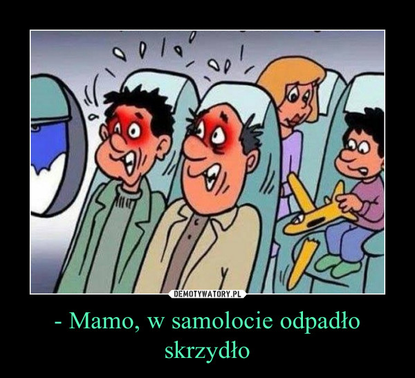 - Mamo, w samolocie odpadło skrzydło –  