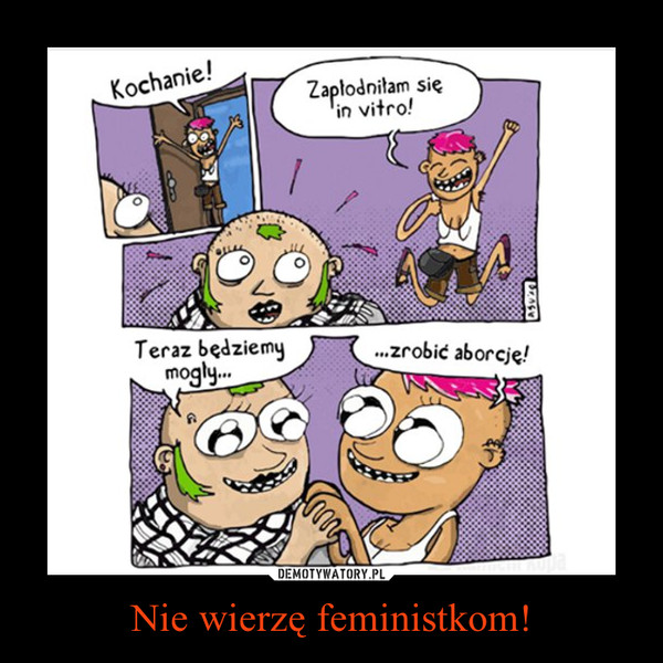 Nie wierzę feministkom! –  