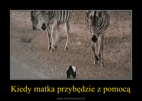 Kiedy matka przybędzie z pomocą –  