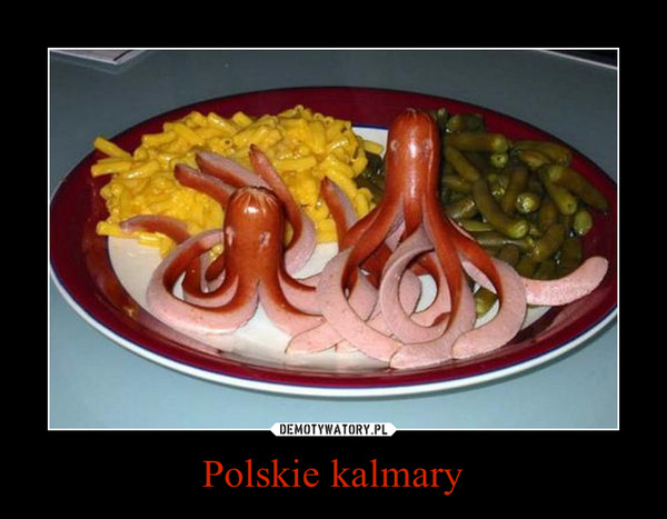 Polskie kalmary –  