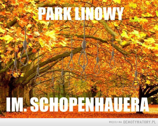 Park linowy –  