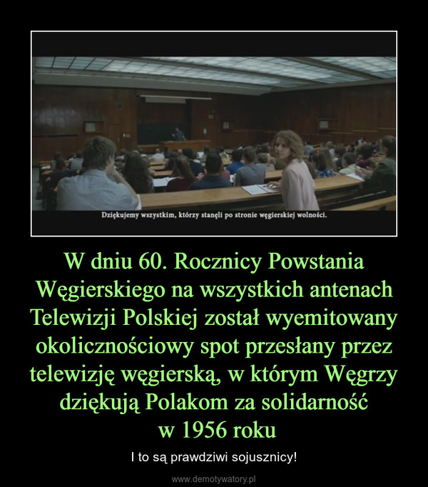 W dniu 60. Rocznicy Powstania Węgierskiego na wszystkich antenach Telewizji Polskiej został wyemitowany okolicznościowy spot przesłany przez telewizję węgierską, w którym Węgrzy dziękują Polakom za solidarność w 1956 roku – I to są prawdziwi sojusznicy! 