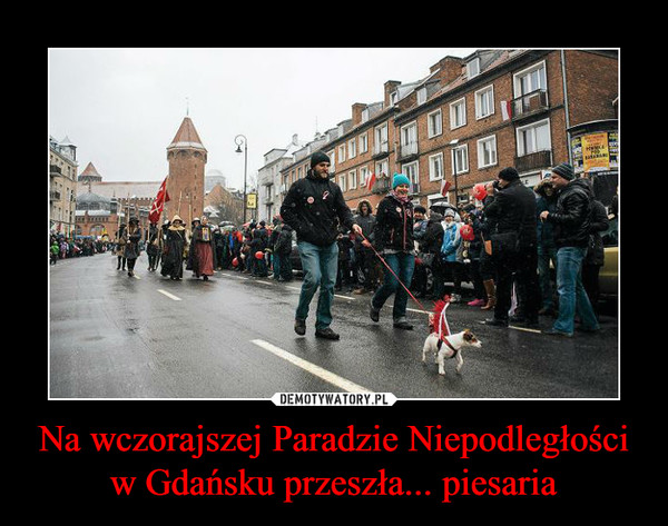 Na wczorajszej Paradzie Niepodległości w Gdańsku przeszła... piesaria –  