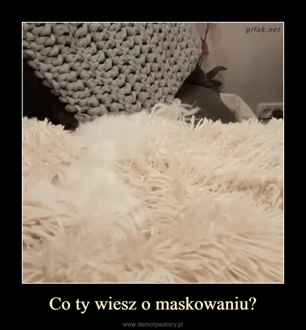 Co ty wiesz o maskowaniu? –  