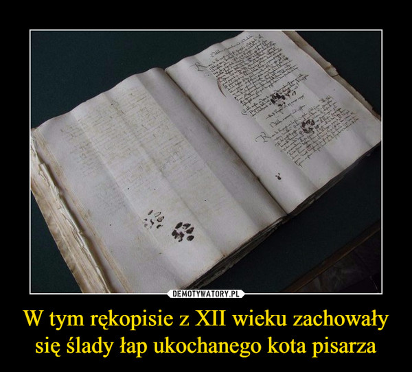 W tym rękopisie z XII wieku zachowały się ślady łap ukochanego kota pisarza