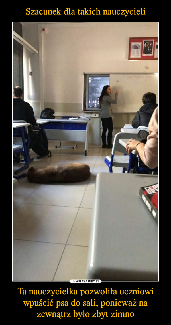 Szacunek dla takich nauczycieli Ta nauczycielka pozwoliła uczniowi wpuścić psa do sali, ponieważ na zewnątrz było zbyt zimno
