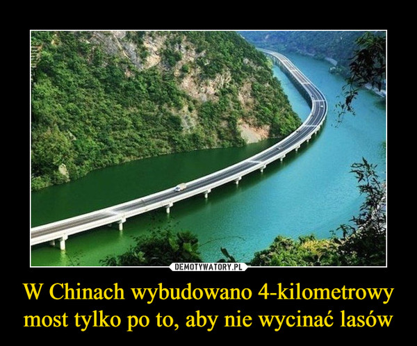 W Chinach wybudowano 4-kilometrowy most tylko po to, aby nie wycinać lasów –  