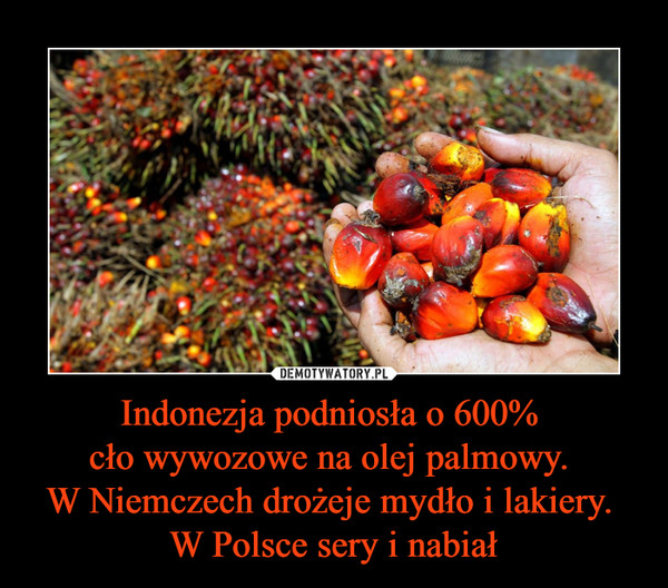 Indonezja podniosła o 600% cło wywozowe na olej palmowy. W Niemczech drożeje mydło i lakiery. W Polsce sery i nabiał –  