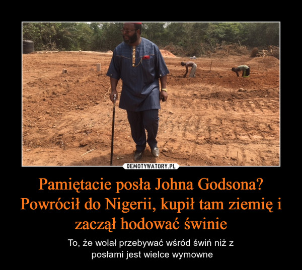Pamiętacie posła Johna Godsona? Powrócił do Nigerii, kupił tam ziemię i zaczął hodować świnie – To, że wolał przebywać wśród świń niż z posłami jest wielce wymowne 