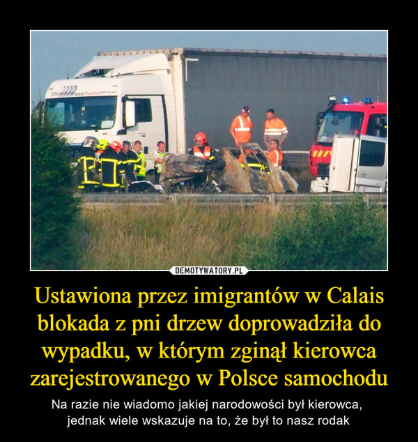 Ustawiona przez imigrantów w Calais blokada z pni drzew doprowadziła do wypadku, w którym zginął kierowca zarejestrowanego w Polsce samochodu – Na razie nie wiadomo jakiej narodowości był kierowca, jednak wiele wskazuje na to, że był to nasz rodak 