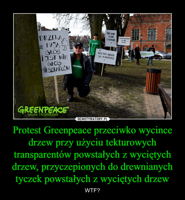 Protest Greenpeace przeciwko wycince drzew przy użyciu tekturowych transparentów powstałych z wyciętych drzew, przyczepionych do drewnianych tyczek powstałych z wyciętych drzew – WTF? 