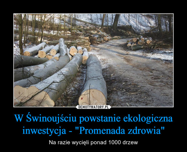 W Świnoujściu powstanie ekologiczna inwestycja - "Promenada zdrowia" – Na razie wycięli ponad 1000 drzew 