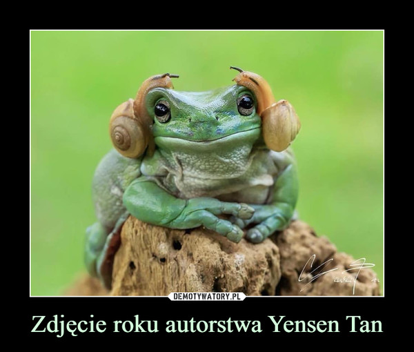 Zdjęcie roku autorstwa Yensen Tan –  