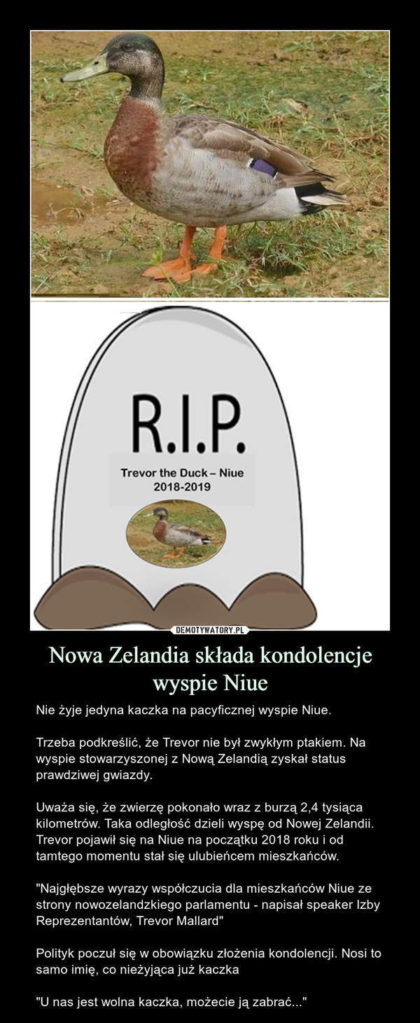 Nowa Zelandia składa kondolencje wyspie Niue