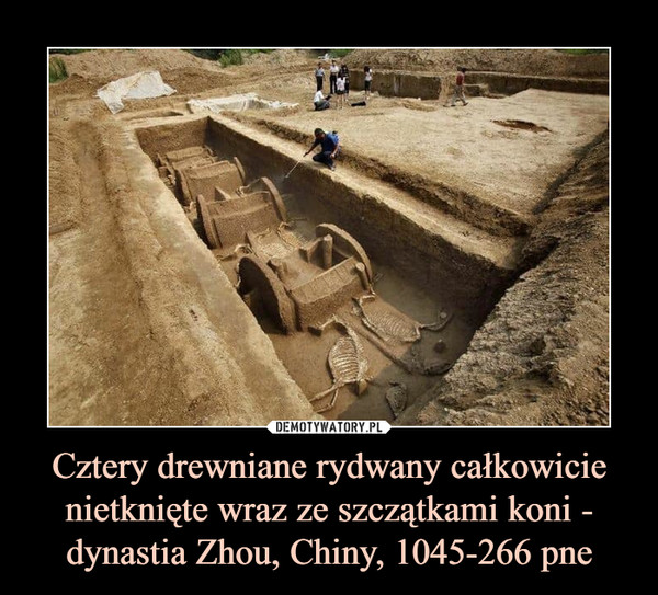Cztery drewniane rydwany całkowicie nietknięte wraz ze szczątkami koni - dynastia Zhou, Chiny, 1045-266 pne