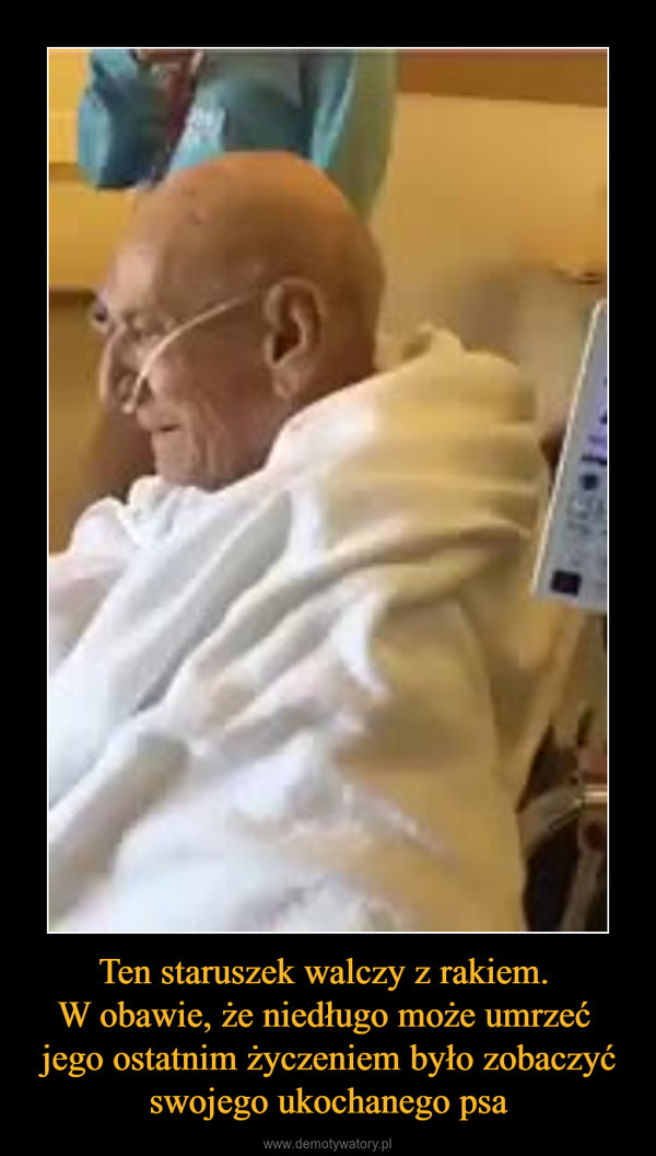 Ten staruszek walczy z rakiem. W obawie, że niedługo może umrzeć jego ostatnim życzeniem było zobaczyć swojego ukochanego psa –  