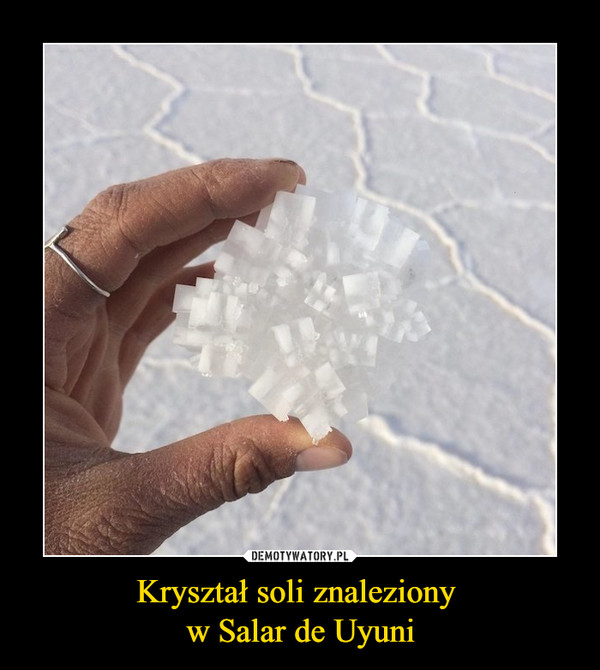 Kryształ soli znaleziony w Salar de Uyuni –  