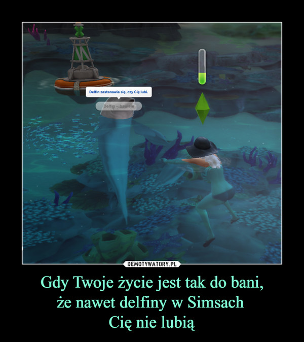 Gdy Twoje życie jest tak do bani,
że nawet delfiny w Simsach 
Cię nie lubią