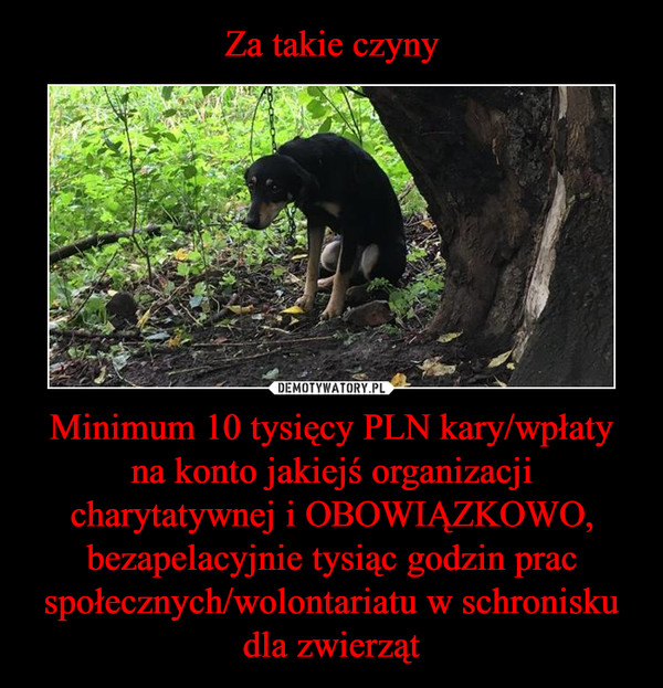 Za takie czyny Minimum 10 tysięcy PLN kary/wpłaty na konto jakiejś organizacji charytatywnej i OBOWIĄZKOWO, bezapelacyjnie tysiąc godzin prac społecznych/wolontariatu w schronisku dla zwierząt