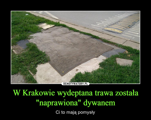W Krakowie wydeptana trawa została "naprawiona" dywanem – Ci to mają pomysły 