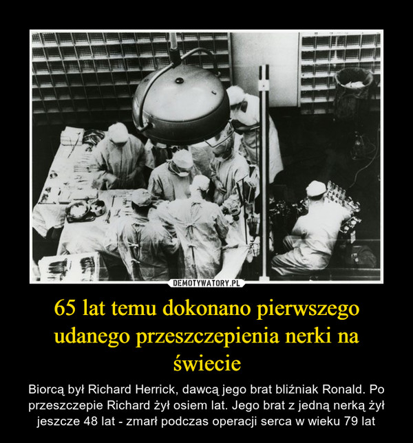 65 lat temu dokonano pierwszego udanego przeszczepienia nerki na świecie – Biorcą był Richard Herrick, dawcą jego brat bliźniak Ronald. Po przeszczepie Richard żył osiem lat. Jego brat z jedną nerką żył jeszcze 48 lat - zmarł podczas operacji serca w wieku 79 lat 