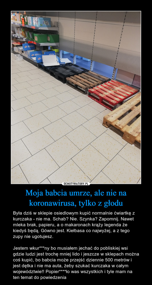 Moja babcia umrze, ale nie na koronawirusa, tylko z głodu – Była dziś w sklepie osiedlowym kupić normalnie ćwiartkę z kurczaka - nie ma. Schab? Nie. Szynka? Zapomnij. Nawet mleka brak, papieru, a o makaronach krąży legenda że kiedyś będą. Gówno jest. Kiełbasa co najwyżej, a z tego zupy nie ugotujesz.Jestem wkur***ny bo musiałem jechać do pobliskiej wsi gdzie ludzi jest trochę mniej lido i jeszcze w sklepach można coś kupić, bo babcia może przejść dziennie 500 metrów i jest dętka i nie ma auta, żeby szukać kurczaka w całym województwie!! Popier****ło was wszystkich i tyle mam na ten temat do powiedzenia 