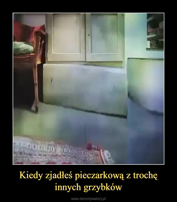 Kiedy zjadłeś pieczarkową z trochę innych grzybków –  