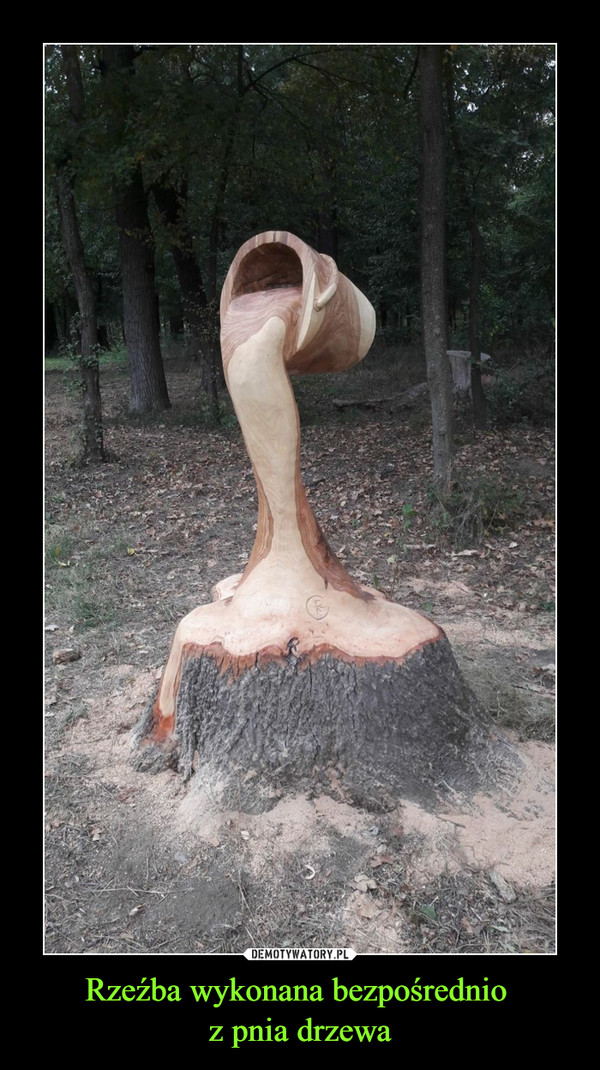 Rzeźba wykonana bezpośrednio 
z pnia drzewa