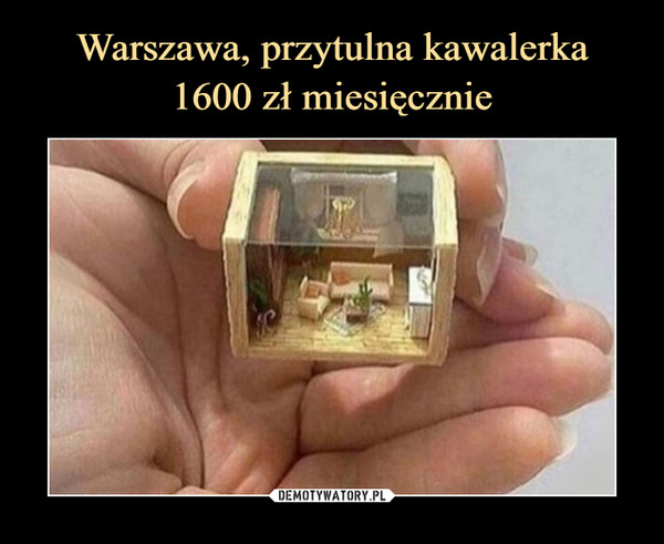 Warszawa, przytulna kawalerka
1600 zł miesięcznie