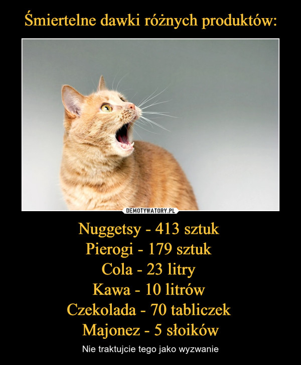 Nuggetsy - 413 sztuk Pierogi - 179 sztuk Cola - 23 litry Kawa - 10 litrów Czekolada - 70 tabliczek Majonez - 5 słoików – Nie traktujcie tego jako wyzwanie 