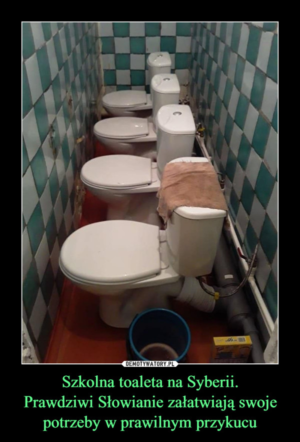 Szkolna toaleta na Syberii.
Prawdziwi Słowianie załatwiają swoje potrzeby w prawilnym przykucu