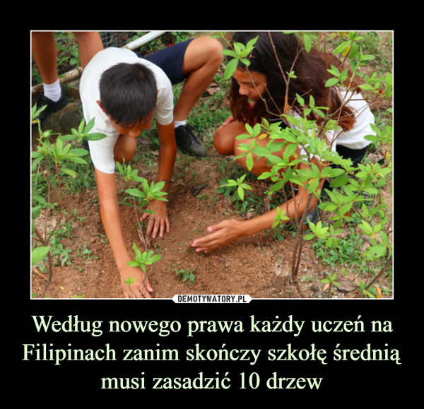 Według nowego prawa każdy uczeń na Filipinach zanim skończy szkołę średnią musi zasadzić 10 drzew –  